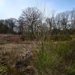 projet footing 