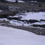 Le jour de la marmotte