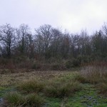 Footing …