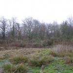 Footing… encore