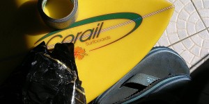 Corail ... La jaune