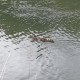 20140603_173621