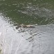 20140603_173623