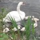 20140603_173748