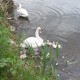 20140603_173752