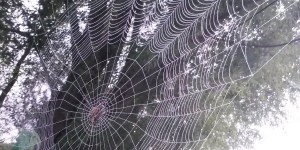 20141003_083336
