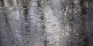 20146922
