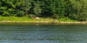 20150718_183547