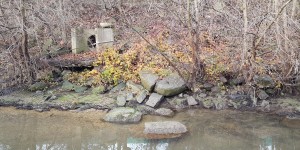 20161224_110407