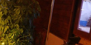 pole dance