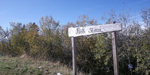 IMGP7846