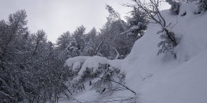 IMGP8695