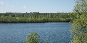 étang de la gaviotte