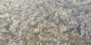 IMG_0172